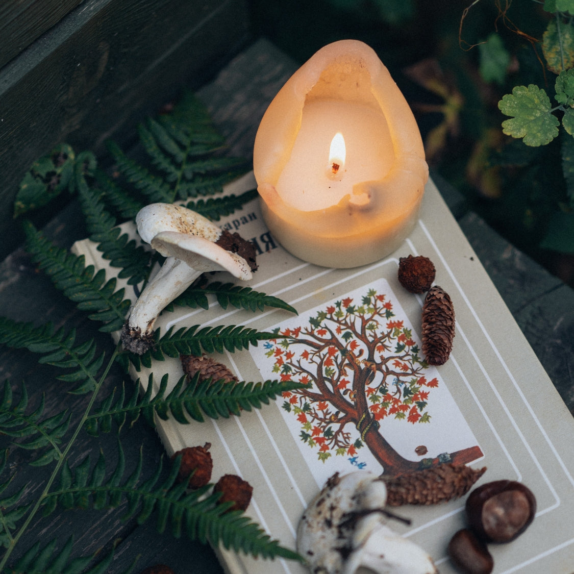 Candles